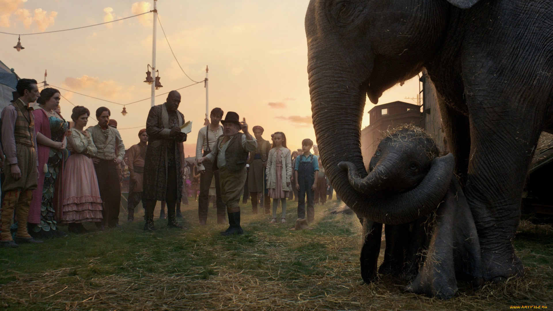 dumbo , 2019,  , dumbo, , , , , , , , , , 